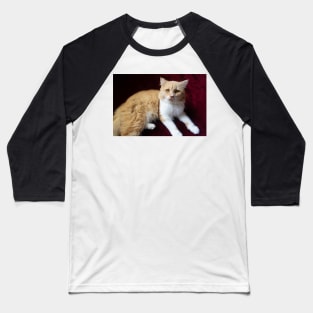 cute cat portrait Baseball T-Shirt